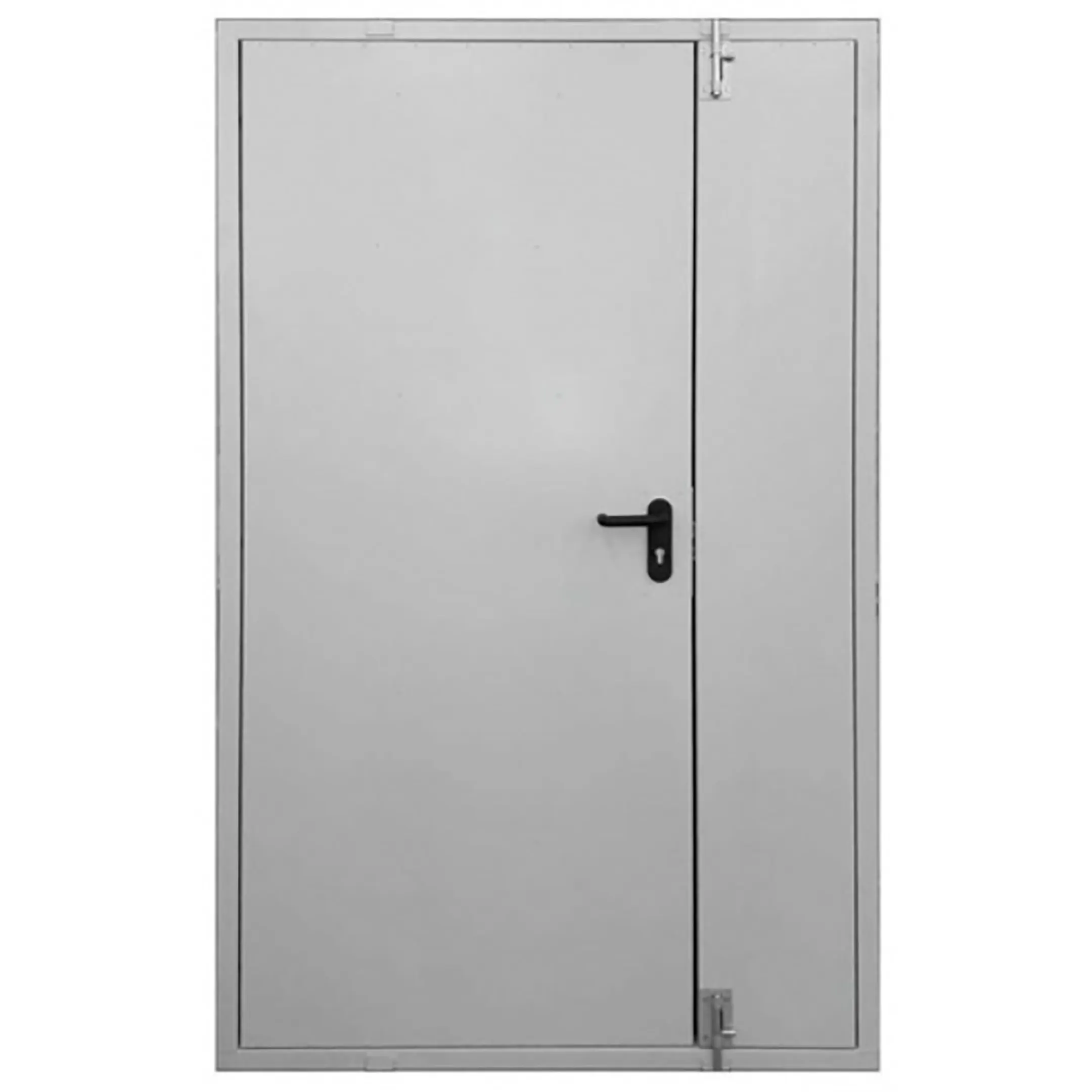Дверь тамбурная металлическая ДТ-2-1400х2100